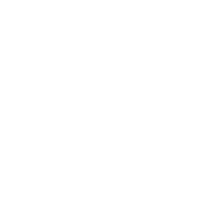 Skull Labs