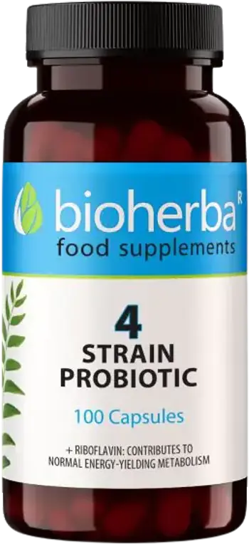 Bioherba 4 Strain Probiotic with Riboflavin За здрави черва и силен имунитет