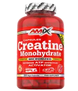 AMIX Creatine Monohydrate (Креатин Монохидрат)