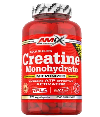 AMIX Creatine Monohydrate (Креатин Монохидрат)