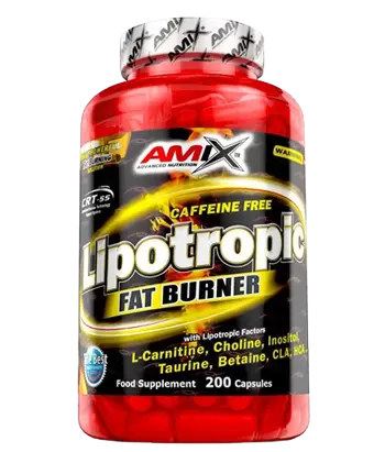 AMIX Lipotropic Fat Burner - (Липотропен Фет Бърнър)