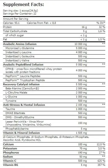 AMIX Re-Core Concentrated Специализирана Интратренировъчна Формула - 540 грама, 22 дози