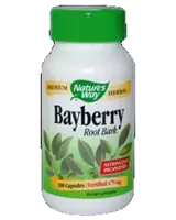 Nature's Way Bayberry Root Bark В подкрепа на дихателната система х 100 капсули
