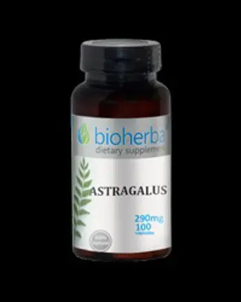 Astragalus 290 mg - 100 капсули, 50 Дози