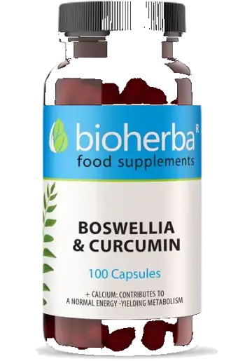 Bioherba Boswellia And Curcumin В подкрепа на ставите и сърцето