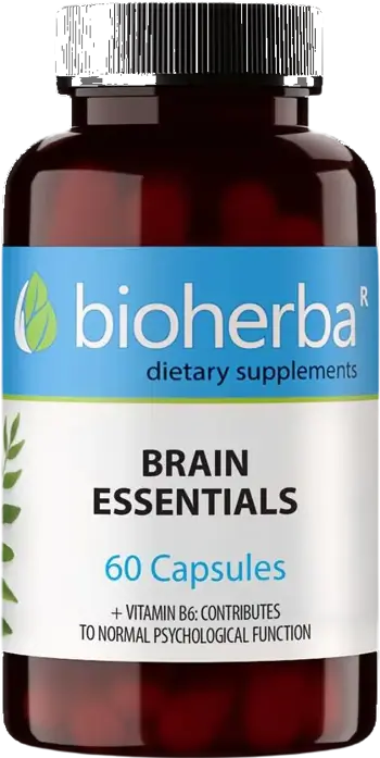 Bioherba Brain Essentials За мозъчен тонус и концентрация х 60 капсули