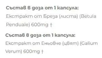Biliana Yotovska Брезеньовче Екстракт от Бреза + Еньовче - 2 броя x 60 капсули, 60 дози