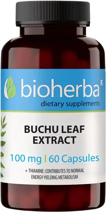 Bioherba Buchu Leaf Extract 100 mg Подкрепа за пикочните пътища и стомаха х 60 капсули