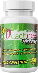 Cactinea | Amplify Series