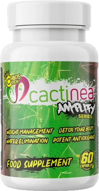 Cactinea | Amplify Series