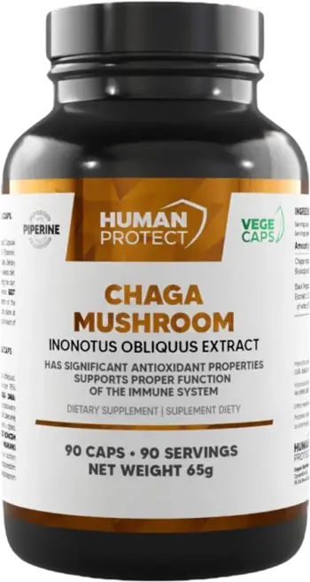 Chaga Mushroom 600 mg