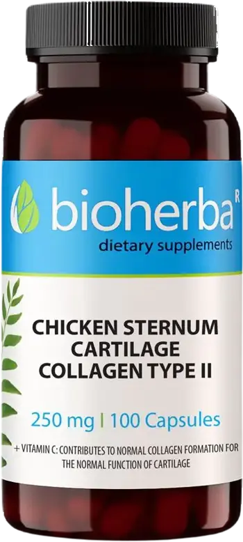 Bioherba Chicken Collagen Type II 250 мг Пилешки Колаген тип II за стави