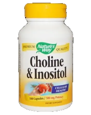 Nature's Way Choline 250 mg & Inositol 250 mg Подкрепа за черен дроб и метаболизъм х 100 капсули