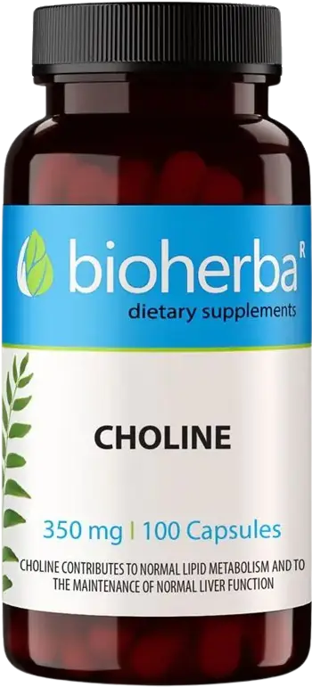 Bioherba Choline 350 mg Холин за метаболизъм и черен дроб