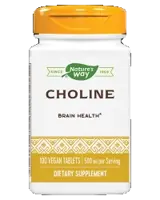 Nature's Way Choline 500 mg За мозъчна функция и черен дроб х 100 таблетки
