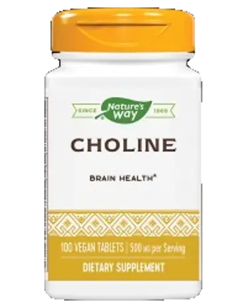 Nature's Way Choline 500 mg За мозъчна функция и черен дроб х 100 таблетки