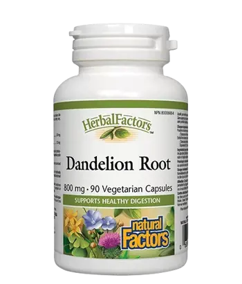 Dandelion Root 425 mg 90 капсули - Глухарче (корен)