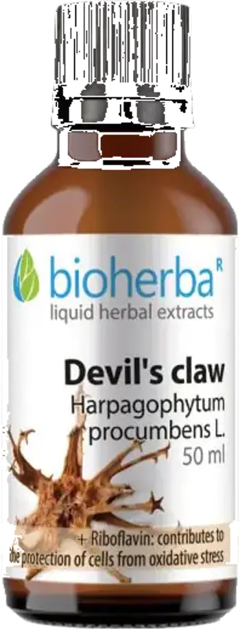 Bioherba Devil's Claw Tincture Течен екстракт от дяволски нокът с рибофлавин 50 мл
