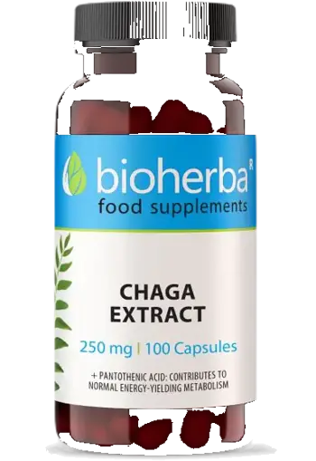Bioherba Full Spectrum Chaga Mushroom Мощен антиоксидант и адаптоген