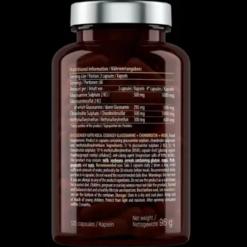 Глюкозамин + Хондроитин + МСМ / Glucosamine + Chondroitin + MSM