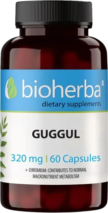Bioherba Guggul 320 mg Подкрепа за метаболизма и холестерола х 60 капсули
