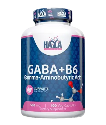 HAYA LABS GABA + B-6 500 мг ГАБА + Витамин В6 - 100 вег капсули, 100 дози