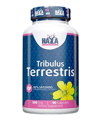 HAYA LABS Tribulus Terrestris 500 мг Екстракт от Трибулус Терестрис - 90 капсули, 90 дози