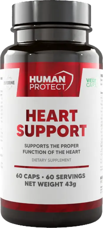 Heart Support | Proper Heart Function Support