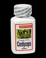 Health from The East, Cordyceps, 90 капсули