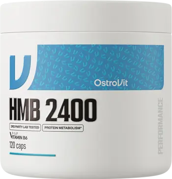 HMB 2400
