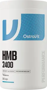HMB 2400