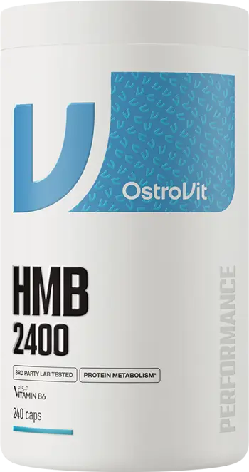 HMB 2400