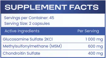 HS LABS GLUCOSAMINE + MSM + CHONDROITIN Глюкозамин + МСМ + Хондроитин - 90 капсули, 45 дози