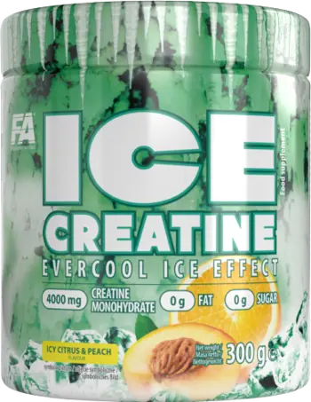 FA Nutrition Ice Creatine Monohydrate Evercool Ice Effect Креатин Монохидрат - 300 грама, 60 дози