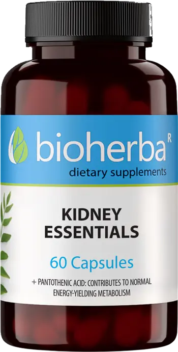Bioherba Kidney Essentials Билкова формула за бъбреци х 60 капсули