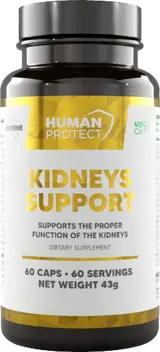 Kidneys Support | Proper Kidney Function Support