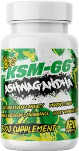 KSM 66 Ashwagandha 600 mg