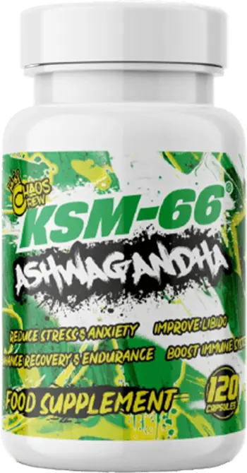 KSM 66 Ashwagandha 600 mg