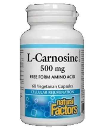 Natural Factors L-Carnosine 500 mg За клетъчно подмладяване и мускулно възстановяване х 60 капсули