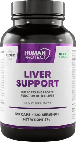 Liver Support | Proper Liver Function Support
