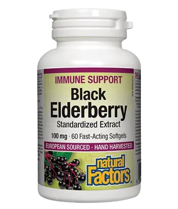 Natural Factors Black Elderberry Standardized Черен Бъз Стандартизиран Екстракт - 60 бързоусвоими софтгел капсули, 60 дози