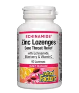 Natural Factors Echinamide® Zinc Lozenges Sore Throat Relief Цинк, Ехинацея, Витамин С и Черен Бъз - 60 таблетки за смучене с вкус на цветен мед, 60 дози