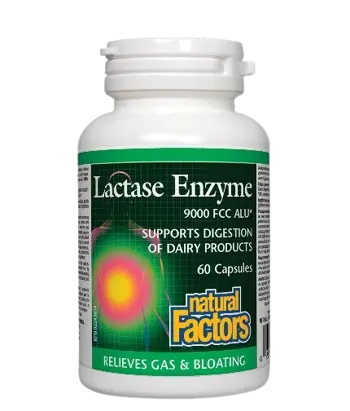 Natural Factors Lactase Enzyme 250 мг Лактаза Ензим - 60 капсули, 60 дози