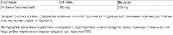Natural Factors Mental Calmness L-Theanine 100 мг Л-Теанин - 60 дъвчащи таблетки, 60 дози