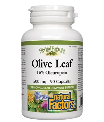 Natural Factors Olive Leaf 500 мг Olive Leaf Маслина (лист) - 90 капсули, 45 дози