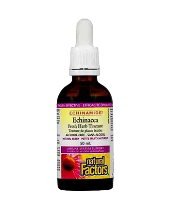 NATURAL FACTORS Простуда и Грип Echinamide® Тинктура с Ехинацея - 50 мл, 50 дози