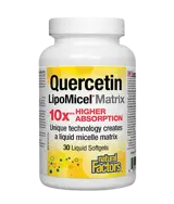 Natural Factors Quercetin 250 мг LipoMicel Matrix Кверцетин