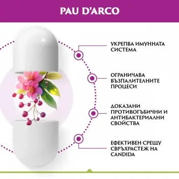 NATURALICO Pau D'Arco Pau D'Arco (Мравчено Дърво) - 60 капсули, 30 дози