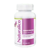 NATURALICO Turkesterone 500 мг Туркестерон - 60 капсули, 60 дози