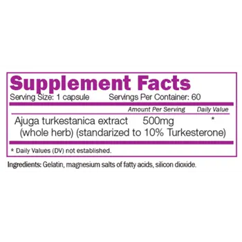 NATURALICO Turkesterone 500 мг Туркестерон - 60 капсули, 60 дози